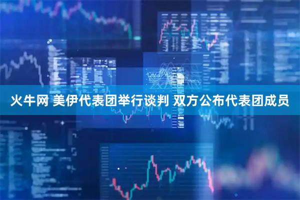 火牛网 美伊代表团举行谈判 双方公布代表团成员